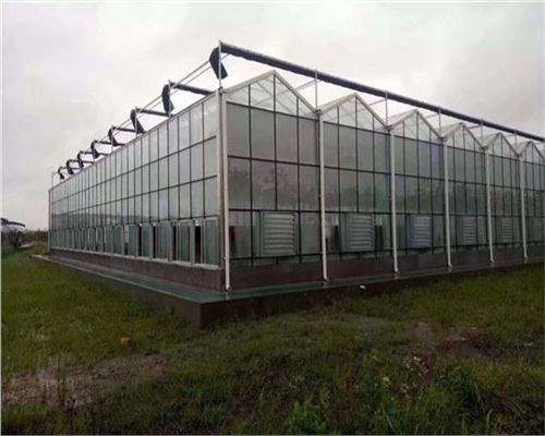 連棟農業玻璃溫室工程